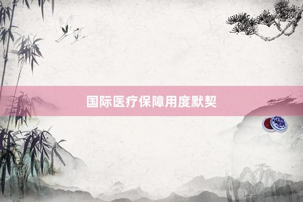 国际医疗保障用度默契